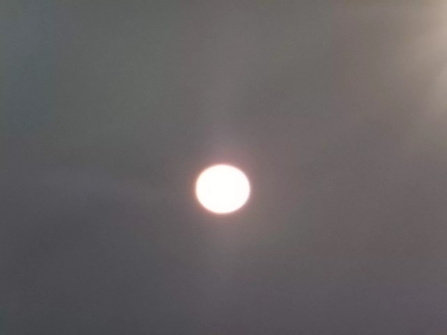 ヤリスクロスの塗装面をLEVEL2研磨で下地処理している様子